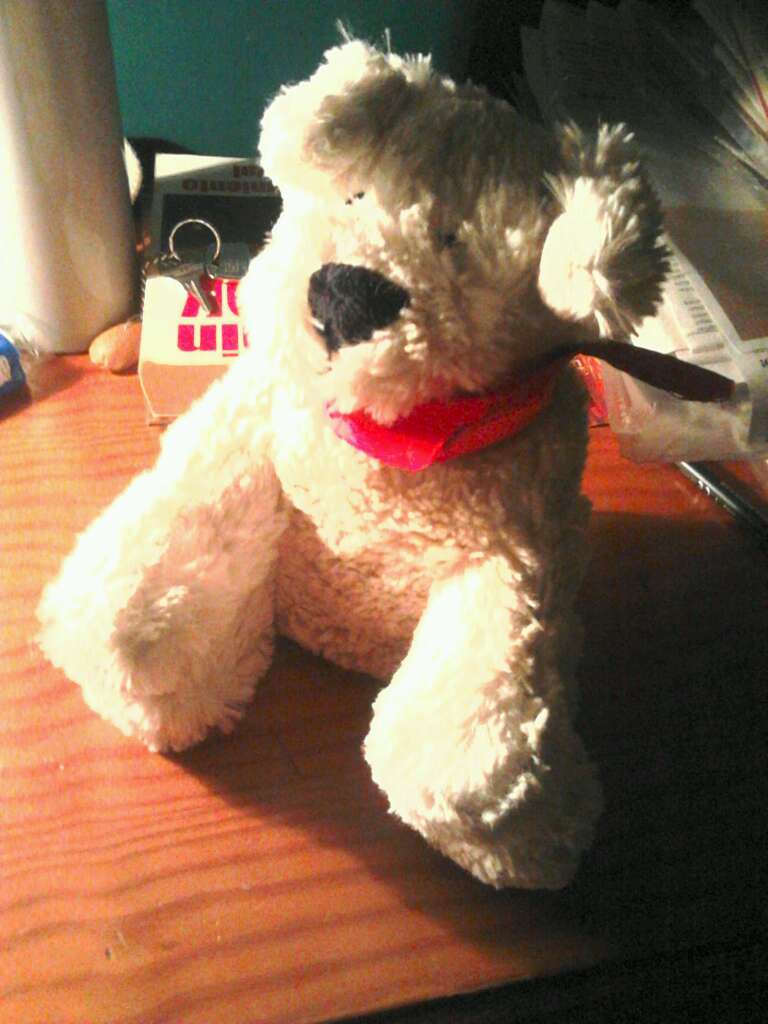 REGALO Perrito de peluche REGALO Perrito de peluche