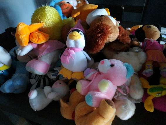 REGALO Peluches REGALO Peluches