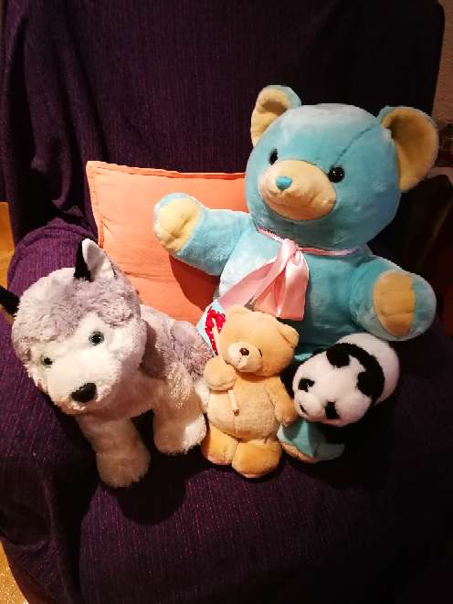 REGALO peluches en Madrid