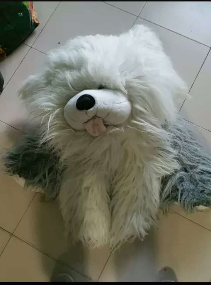REGALO peluche