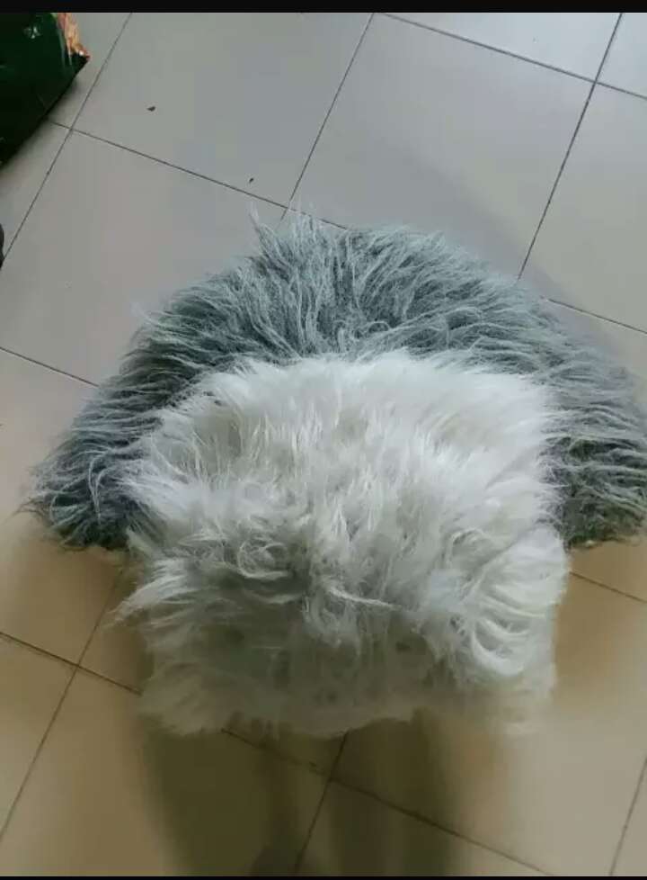 REGALO peluche 2