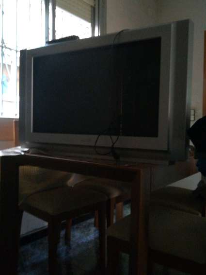 REGALO television REGALO television