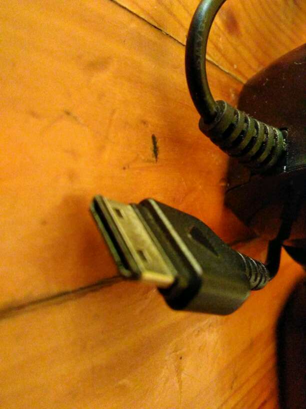 REGALO cargadres y moviles varios  2