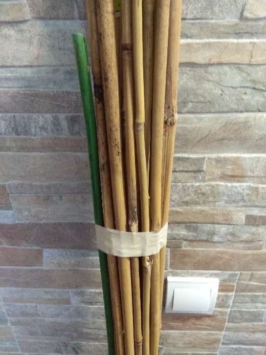 REGALO Palos de bamb. 2