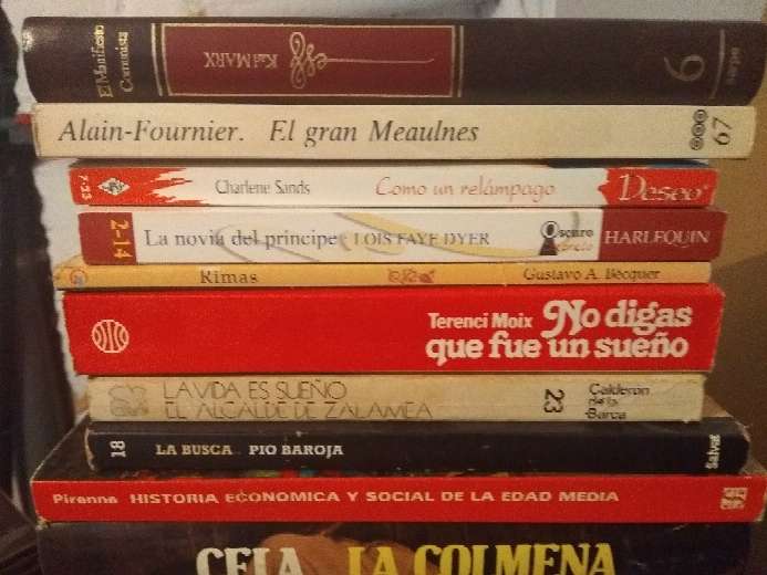 REGALO lote de libros