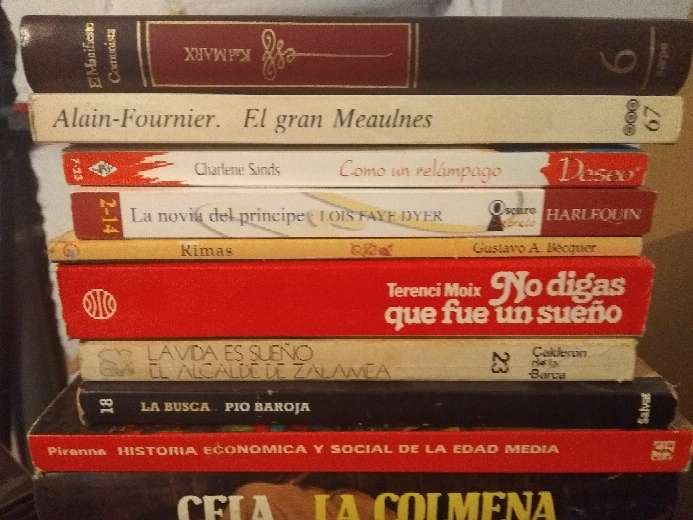 REGALO conjunto de libros 2