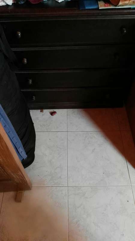 REGALO librera ... 2