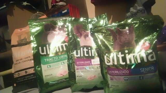 REGALO pienso para gatos esterilizados 