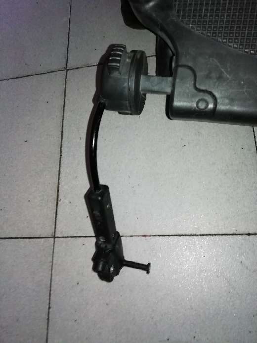 REGALO Patn para carro  4