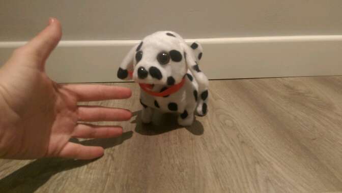 REGALO perro de juguete 2