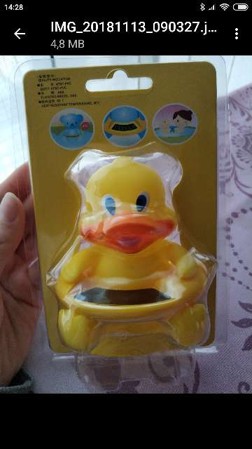 REGALO Termmetro de bao