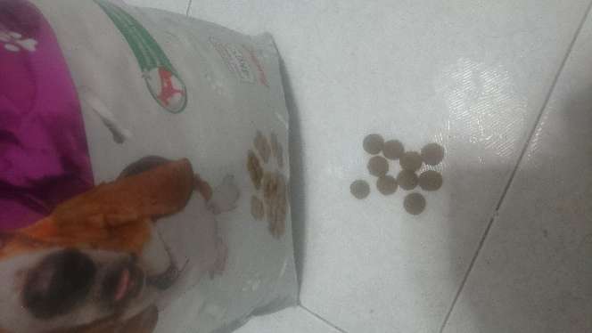 REGALO comida perros  2