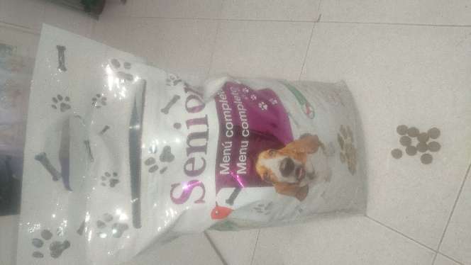 REGALO comida perros  4