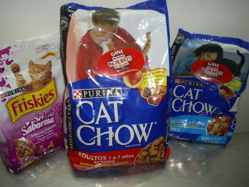 REGALO lote pienso gatos