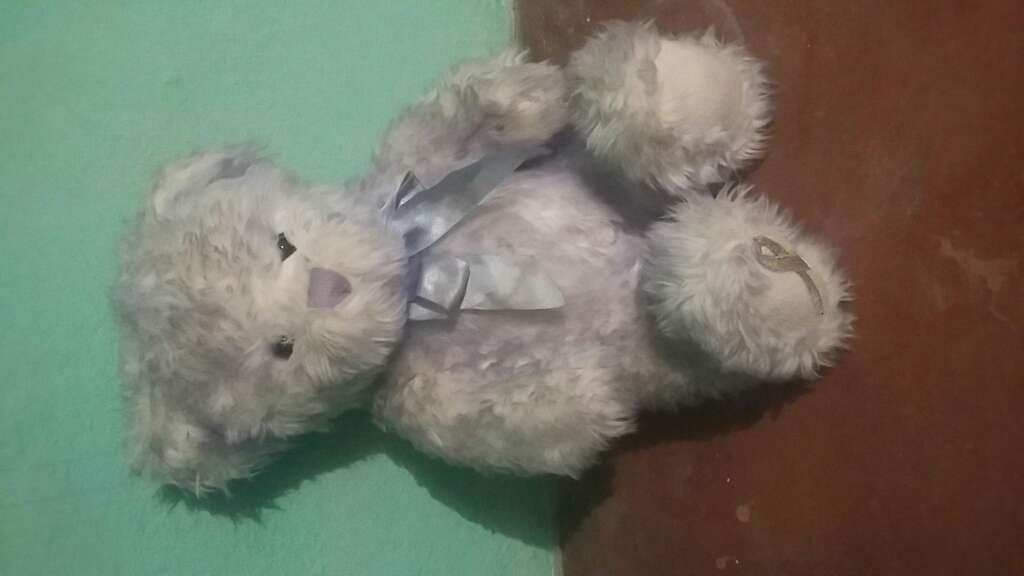 REGALO Oso REGALO Oso