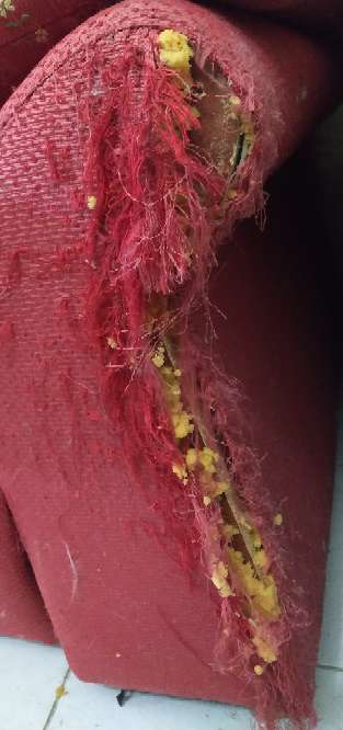 REGALO sof dos plazas 2