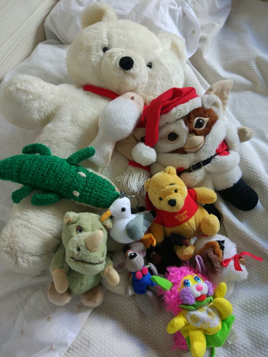 REGALO Peluches REGALO Peluches
