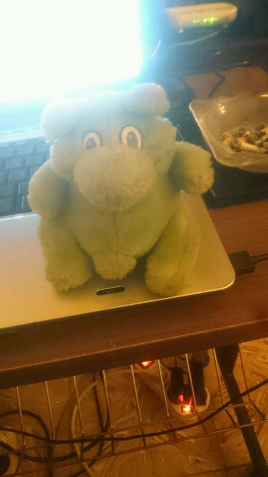 REGALO Peluche pekeño REGALO Peluche pekeño