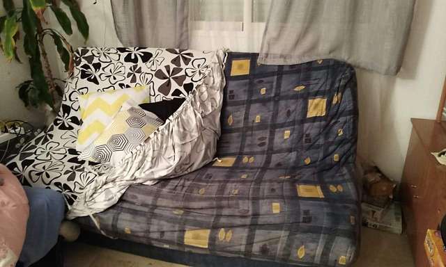 REGALO sof cama 2