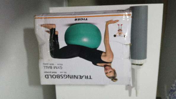 REGALO Balón de gimnasio REGALO Balón de gimnasio