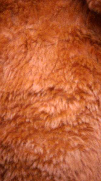 REGALO Bolero t. M-L 3