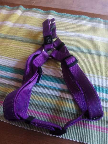 REGALO Arnés de perro REGALO Arnés de perro