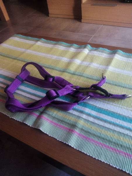 REGALO Arns de perro 2