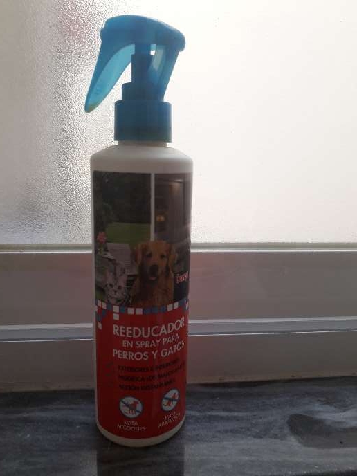REGALO Spray educador pipí REGALO Spray educador pipí