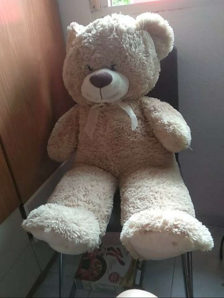 REGALO Peluches REGALO Peluches