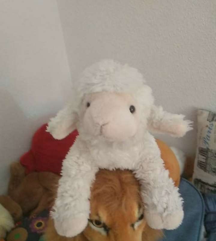 REGALO Más peluches REGALO Más peluches