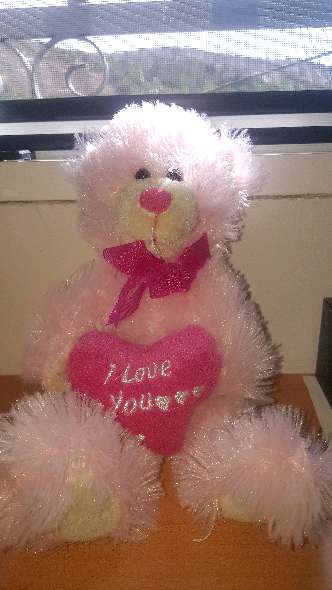 REGALO Osito rosa pequeño REGALO Osito rosa pequeño