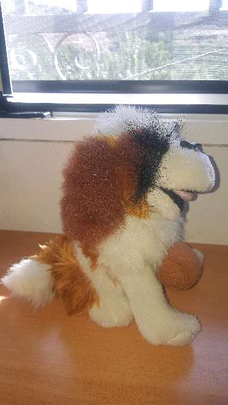 REGALO Peluche perro 2