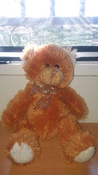 REGALO Peluche oso marrn