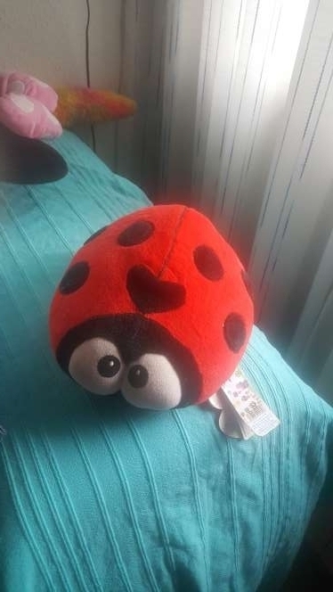 REGALO Peluche mariquita