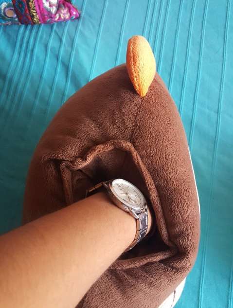 REGALO Mono peluche para meter manos 2