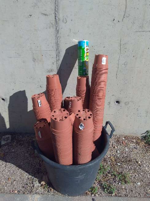 REGALO Macetas de plstico 2