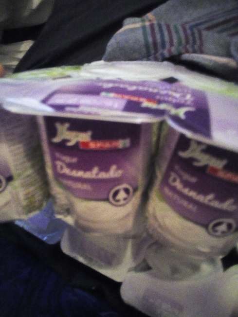 REGALO Yogures 2