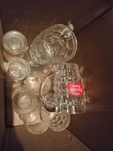 REGALO Platos y vasos 3