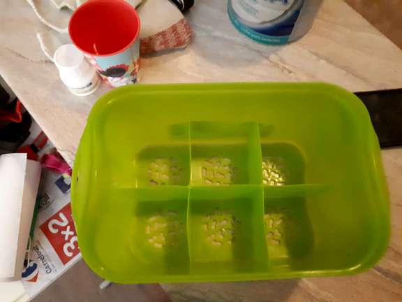 REGALO porta biberon 2