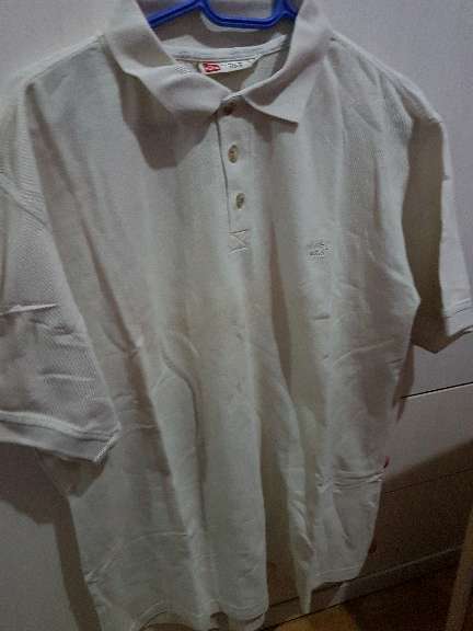 REGALO Polos Haynes 2