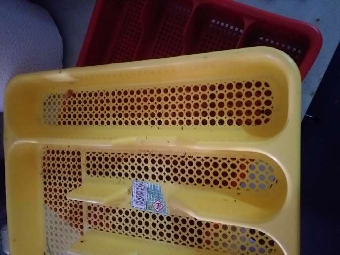 REGALO dos bandejas para cubiertos REGALO dos bandejas para cubiertos