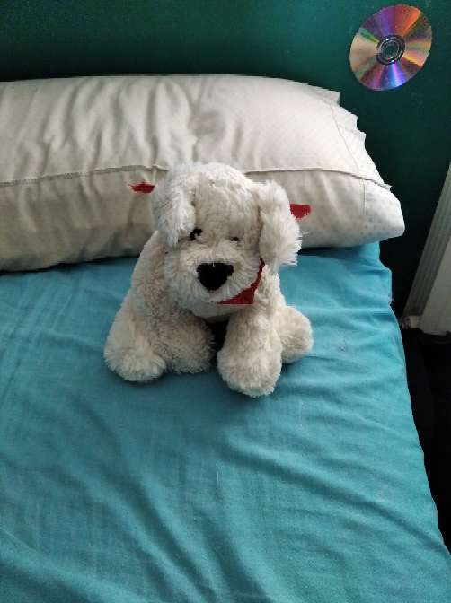 REGALO Peluche 1