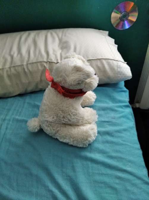 REGALO Peluche 2