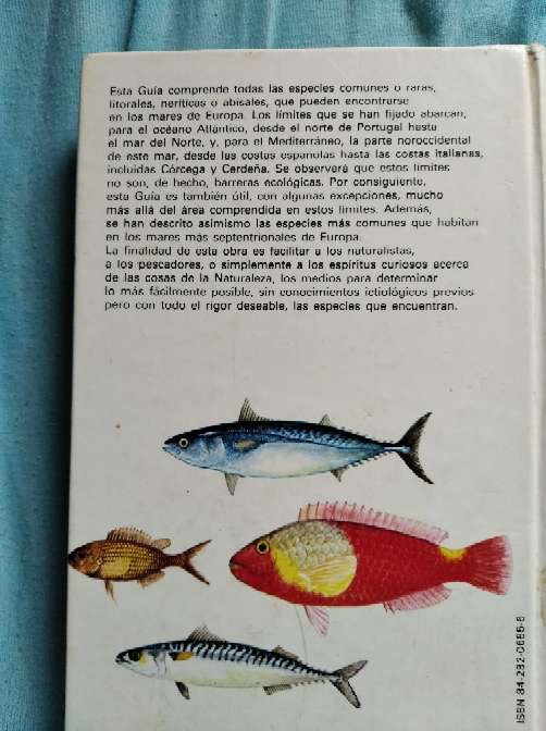 REGALO Gua de los peces de Mar 2
