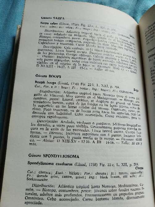 REGALO Gua de los peces de Mar 3