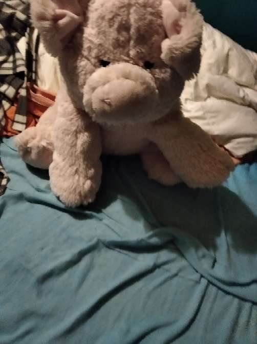 REGALO Cerdo de peluche REGALO Cerdo de peluche