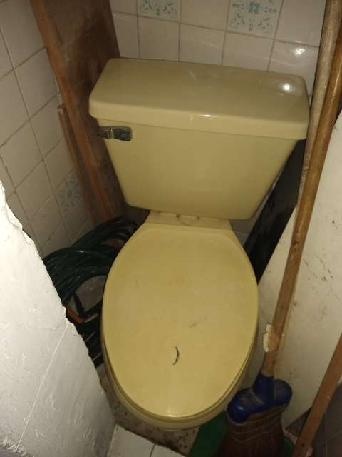 REGALO sanitario gratis REGALO sanitario gratis