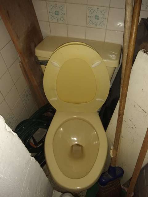 REGALO sanitario gratis 2