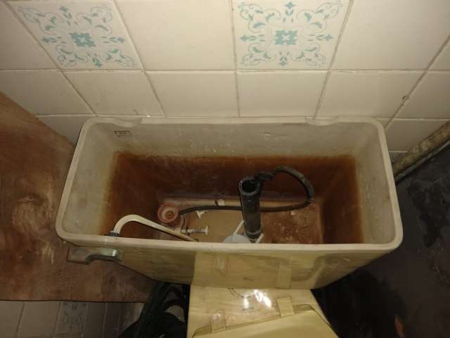 REGALO sanitario gratis 3