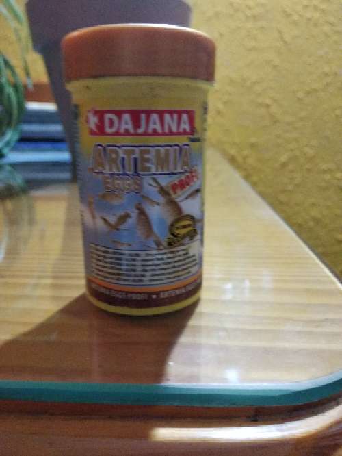 REGALO dajana REGALO dajana